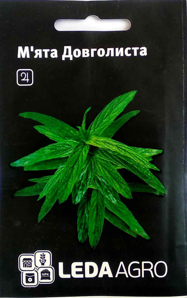 Насіння М'ята Довголиста 0,05 г LEDAAGRO