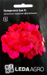 Насіння Пеларгонія Єва F1 червоно-фіолетова 5шт LEDAAGRO