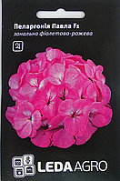 Семена Пеларгония Павла F1 фиолетово-розовая смесь 5шт LEDAAGRO