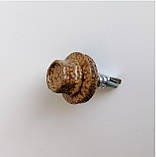 Саморізи золотий дуб 4,8*19 для металу (250 шт пачка), фото 3