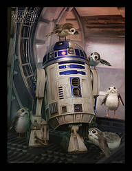 Постер в рамі Star Wars The Last Jedi (R2-D2 & Porgs) / Зоряні війни 30 х 40 см