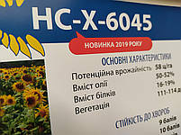 Насіння соняшнику НС-Х-6045 стійке до семи рас вовчка A-G+. Гібрид НСХ 6045 під Євролайтинг., фото 6