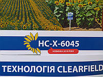 Гібрид соняшнику НСХ 6045 під ЕвроЛайтинг стійкий до семи рас вовчка A-G+.Врожайність 42ц/га. Екстра, фото 7