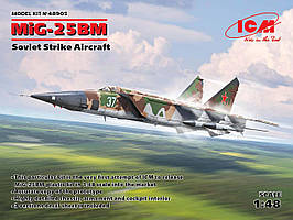 МіГ-25БМ радянський протиорадарний літак. Збірна модель в масштабі 1/48. ICM 48905