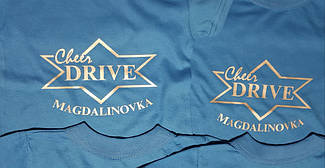 Drive г Магдалиновка  3