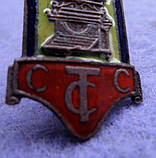 Знак ССТС (Союз радянських торгових штатів) 1924 рік томпак, емаль муляж, фото 2