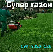 Газонні низькорослі трави для ландшафтного дизайну і озеленення 1кг і оптом гарантія!