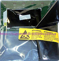 Дисплей Bottom Casil OPTO1008PTW-NU4.0 (фір.уп, EU) Protherm Pantera V20 2015 року, арт. 0020233682, к.з.1331