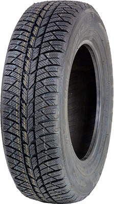 Зимова шина 185/65R13 WQ-101 - Росава