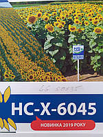 Насіння врожайного соняшника 42 ц/га НСХ 6045 під ЄвроЛайтінг. Гібрид стійкий до семи рас зарази A-G+., фото 6