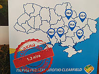 Насіння соняшника стійке до посухи та вовчка A-G+. Врожайний гібрид 42 ц/га під Євролайтінг НСХ 6045. Екстра, фото 6