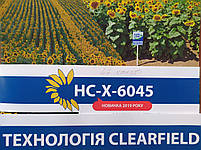 Насіння соняшника стійке до посухи та вовчка A-G+. Врожайний гібрид 42 ц/га під Євролайтінг НСХ 6045. Екстра, фото 3