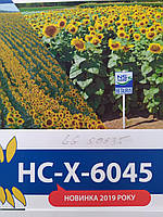 Насіння соняшника стійке до посухи та вовчка A-G+. Врожайний гібрид 42 ц/га під Євролайтінг НСХ 6045. Екстра