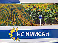 Насіння соняшника під Євролайтинг ІМІСАН. Урожайний соняшник, Насіння стійке до зарази А-Е. Стандарт, фото 7
