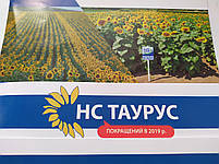 Насіння соняшника НСХ ТАУРУС під Євролайтинг, Високоурожайний гібрид Таурус для південної України. Стандарт, фото 10