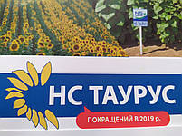 Соняшник НСХ ТАУРУС під Євролайтінг, Гібрид стійкий до води п'яти рас А-Е, Потенціал: 5,3 т/га. Екстра, фото 10