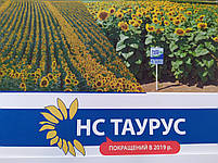 Насіння соняшник під Євролайтінг НСХ ТАУРУС, 109-113 днів, Високоурожайний гібрид 5,3 т/га. Стандарт, фото 9