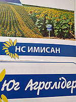 Соняшник НС ІМІСАН під Євролайтинг. Високоурожайний гібрид НС Імісан стійкий до вовчка А-Е. Стандарт, фото 9