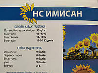 Сербське насіння соняшника стійке до Євролайтінгу та вовчка п'яти рас НС ІМІСАН, Урожайність 42 ц. Екстра, фото 7