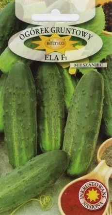 Насіння огірків «Roltico» Ела 5г, фото 1