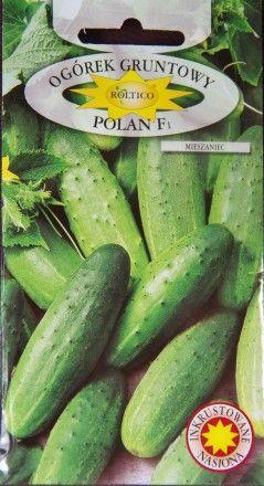 Насіння огірків «Roltico» Полан F1, 5 г, фото 1
