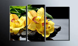 Модульна картина "Жовті орхідеї" розмір 54х85 см