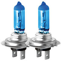 Brevia H7 12V 55W PX26D POWER BLUE S2