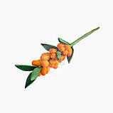 Цукрова фігурка — Набір топерів "Діснейові Принцеси" — 6 шт., фото 5