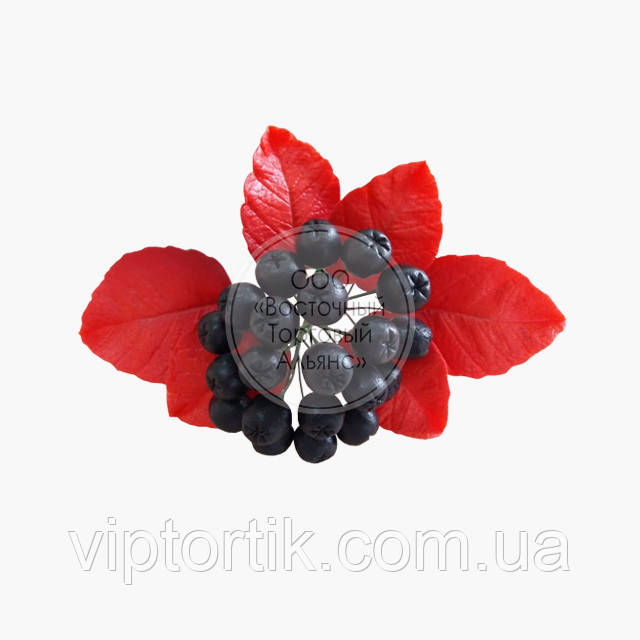 Цукрова фігурка — "Рябина чорноплідна", фото 1