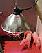 Захисний абажур (плафон) для ІЧ ламп, ø 35 см KERBL, фото 2