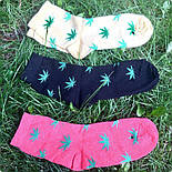 Консервовані Шкарпетки У Всі Тяжкі Жіночі - Оригінальний Подарунок У Банку, фото 5