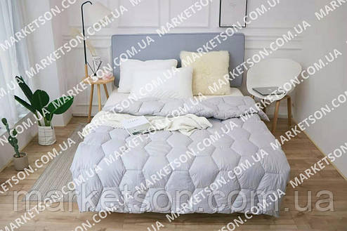 Зимова тепла подвійна ковдра. 175х210.Холофайбер., фото 1