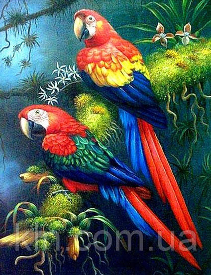 Алмазна вишивка на підрамнику Яскрава пара папуг 30 х 40 см (арт. TN531), фото 1