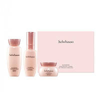 Лінійка ферментованих енергетичних засобів Sulwhasoo Bloomstay Vitalizing Kit (3 Items) 5 мл, 8 мл, 15 мл