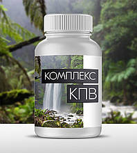 Комплекс КПВ - комплекс харчових волокон для нормалізації роботи кишечника