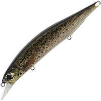 Воблер DUO Realis Jerkbait 120SP Pike Limited - CCC3815 Brown Trout ND