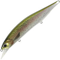 Воблер DUO Realis Jerkbait 120SP Pike Limited - CCC3836 Rainbow Trout ND