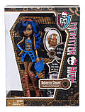 Лялька Monster High Робека Стим базова/Robecca Steam Doll, фото 4