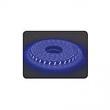 Стрічка світлодіодна LED "COLORADO" (220-240V) вологозахищена червона ціна вказана за 1м, фото 4