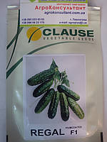Семена огурца Регал F1 (Clause), 10 г ультраранний гибрид (45-48 дней), пчелоопыляемый, корнишон