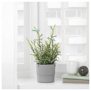 Штучна рослина в горщику IKEA FEJKA блакитна лаванда 9 см 304.295.14, фото 3