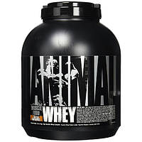 Протеин Universal Nutrition Animal Whey 1.814 кг