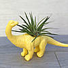 Квіткове кашпо Динозаврик (з довгою шиєю) з стилландсією, фото 3