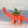 Квіткове кашпо Динозаврик (з довгою шиєю) з стилландсією, фото 7