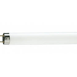 Лампа Philips Master TL-D 90 18w/950