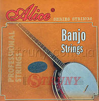 Струны для банджо(5 струнного) AJ05