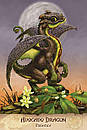 Field Guide to Garden Dragons/ Оракул Польове Керівництво по Садовим Драконам, фото 2
