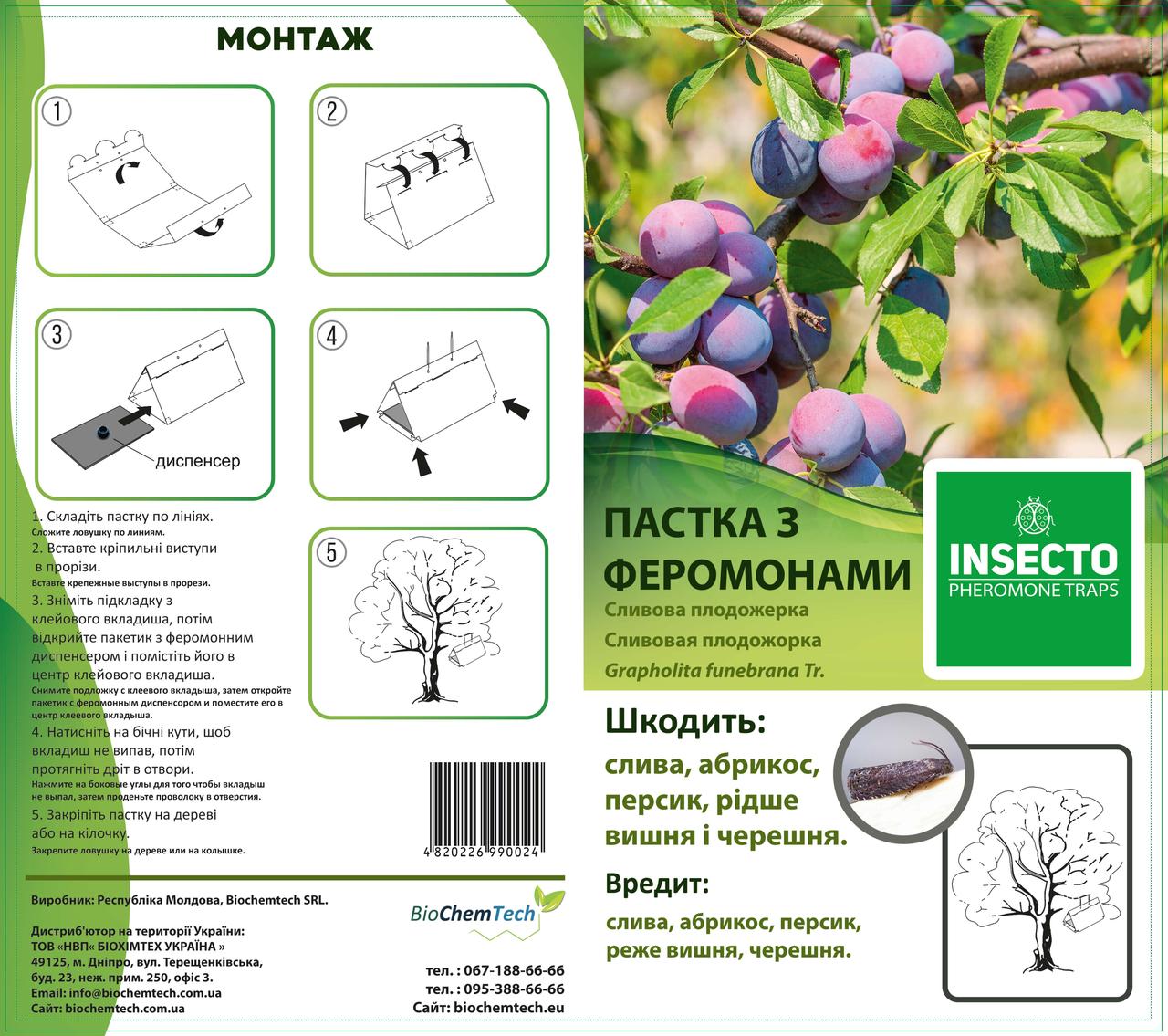 Феромонна пастка "Дельта" на сливову плодожерку (Grapholita funebrana)