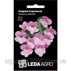 Насіння Азарина (горлянка) повзуча Рожеве 4 насіння Hem Zaden LedaAgro, фото 1