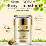 Крем для лица  One Spring Snail Repair & Brithening с муцином улитки (60г), фото 3